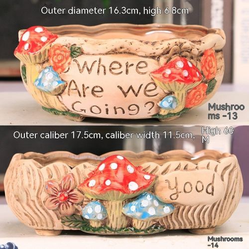 Ceramic Large Diameter Succulent Flowerpot