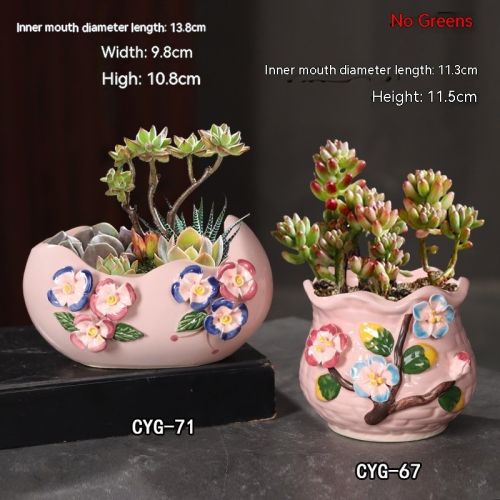 Ceramic Large Diameter Succulent Flowerpot