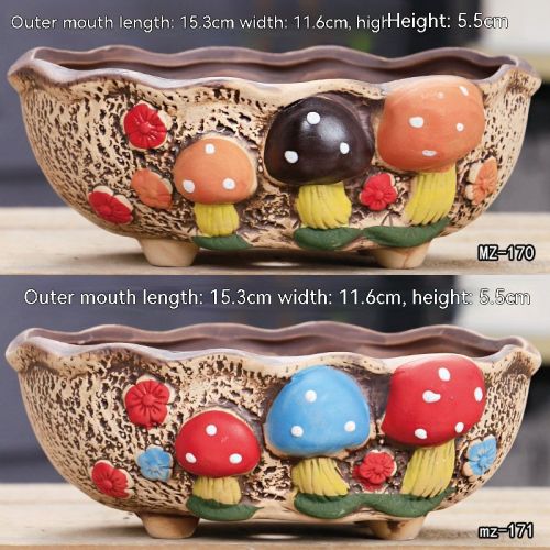 Ceramic Large Diameter Succulent Flowerpot