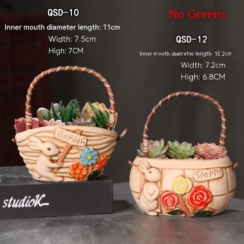 Ceramic Large Diameter Succulent Flowerpot